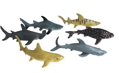 Shark Animal Collection