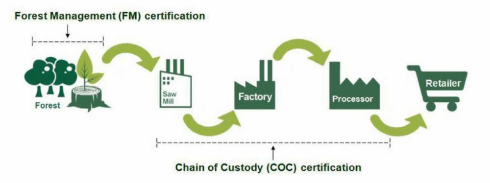 Eco Toys Certification