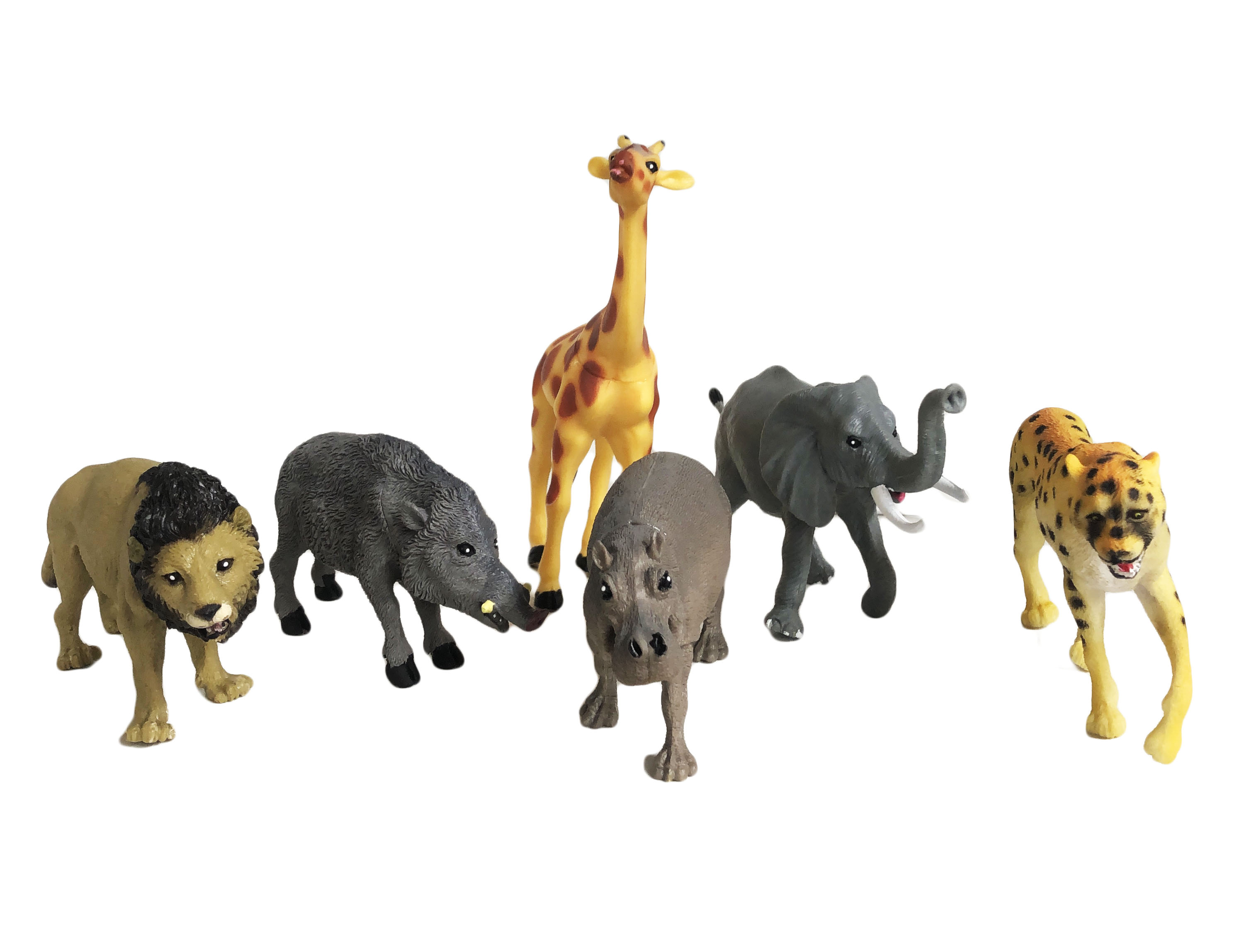 African Animal Collection