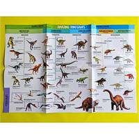 Amazing Activity Set Dinosaurs