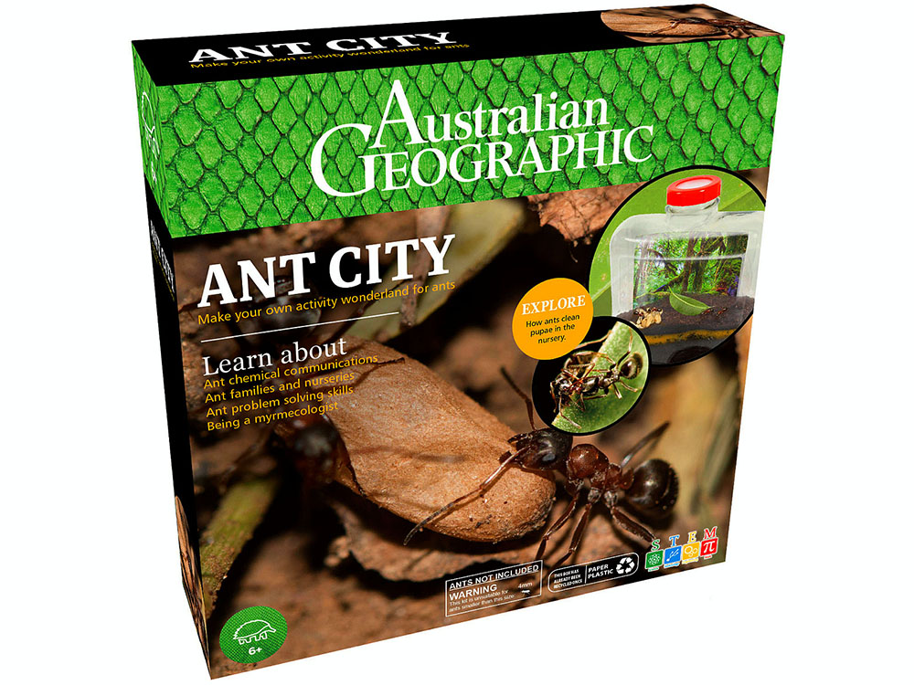 Ant City Australian Geographic