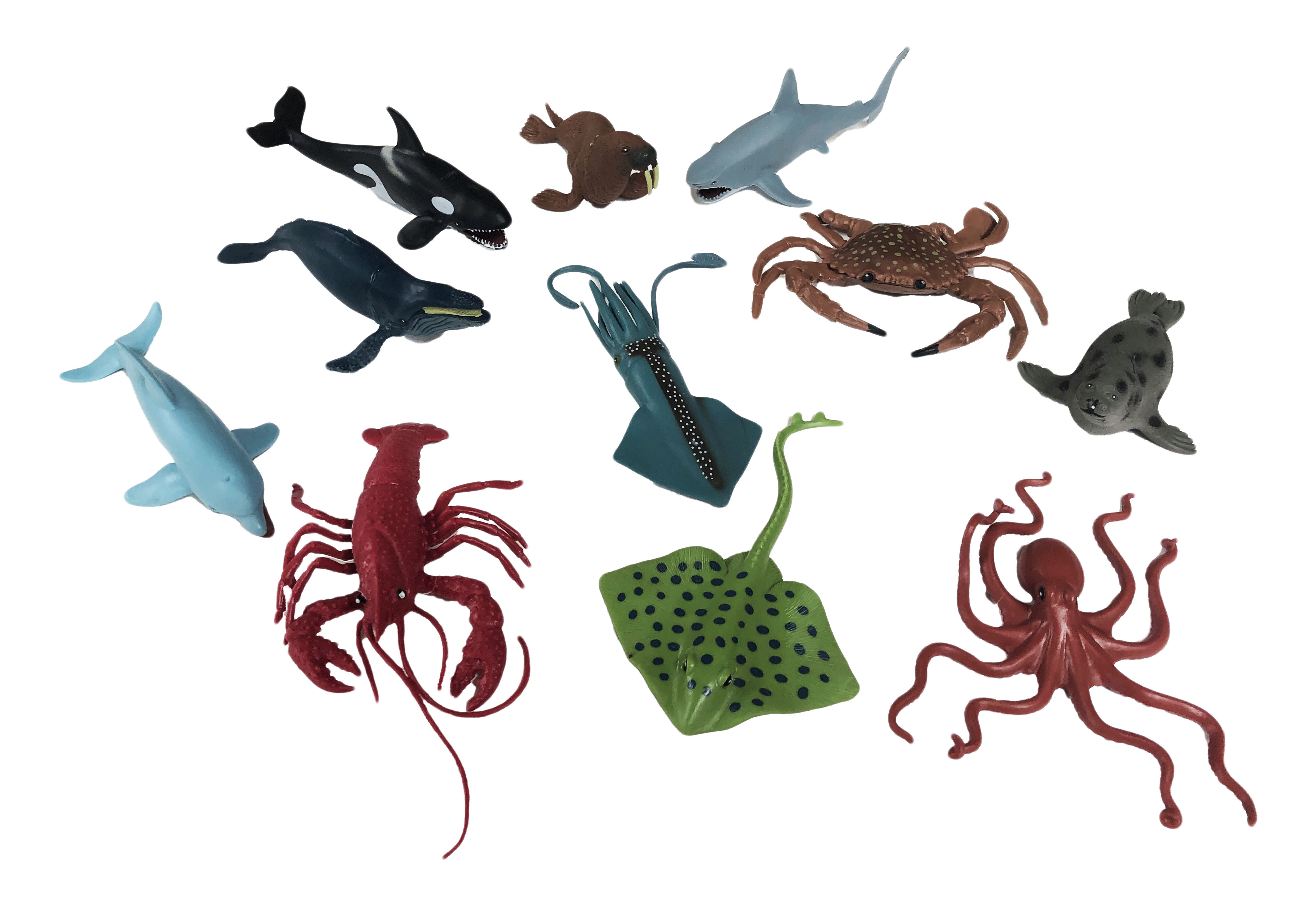 Aquatic Animal Collection