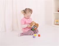 Bigjigs Rolling Shape Sorter Toy