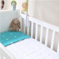 Brolly Sheets Mattress Protector Cot Quilted - Fitted