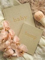 Bump A Pregnancy Story