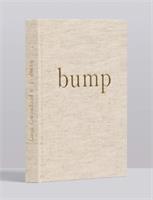 Bump A Pregnancy Story