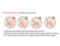 Cherub Baby Wideneck Medium Flow Teats - peristaltic motion