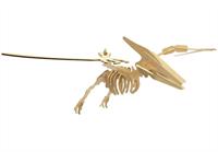 Dino Kit Large Pteranodon