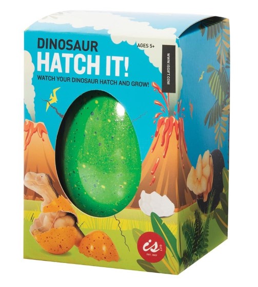 Dinosaur Hatch It Egg