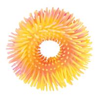 Discovery Zone Sensory Anemone Bracelets