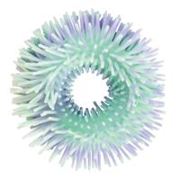 Discovery Zone Sensory Anemone Bracelets