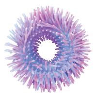 Discovery Zone Sensory Anemone Bracelets