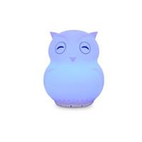 Duski Rechargeable Bluetooth Mini Night Light - Owl
