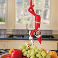 Elf on a Shelf Scout Elves at Play