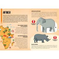 Endangered Species 205pc and Book Africa