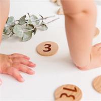 Freckled Frog Tactile Wooden Numbers Set