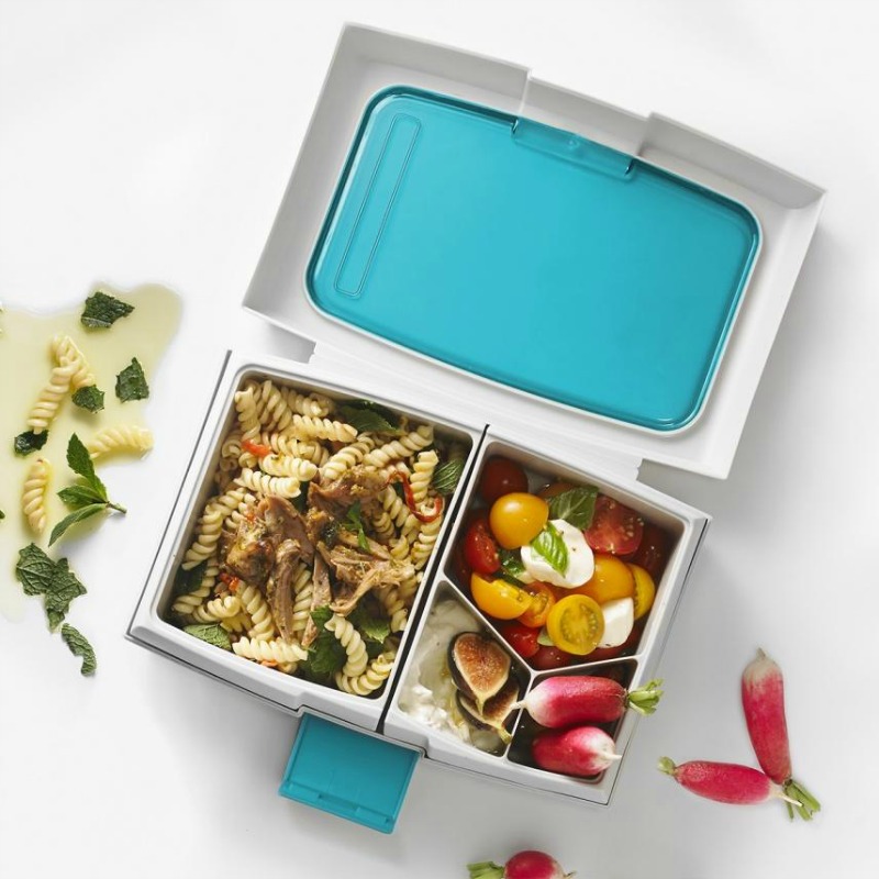 Go Green Medium Lunch Box - Lime Tree Kids