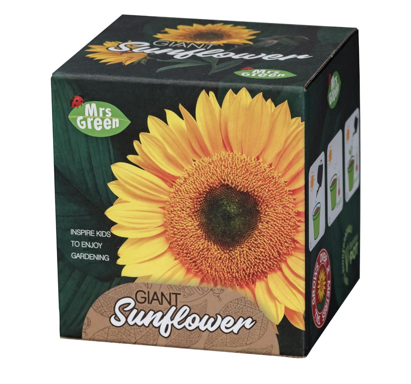 Giant Sunflower