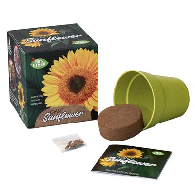 Giant Sunflower