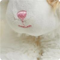 Ginger Cat Heat and Cool Soft Toy