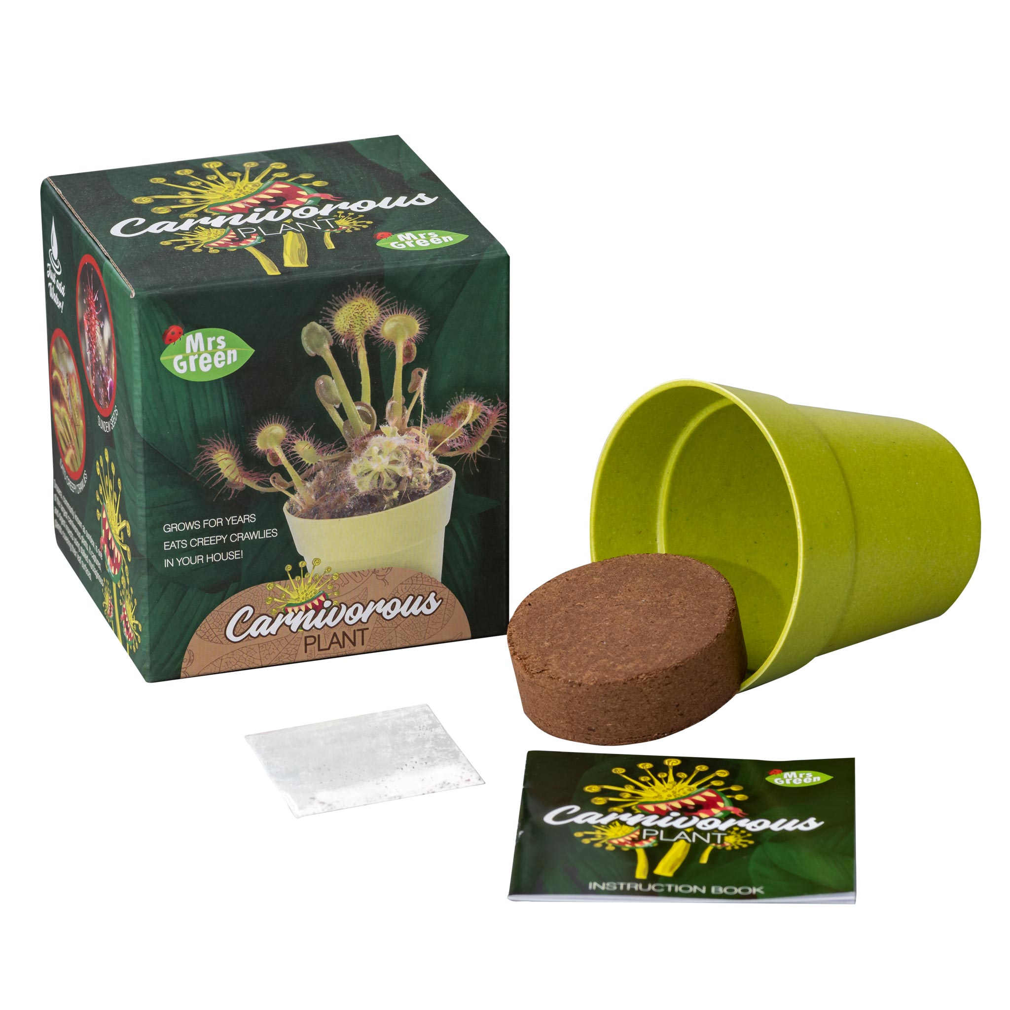 Grow Your Own Carnivorous Plant
