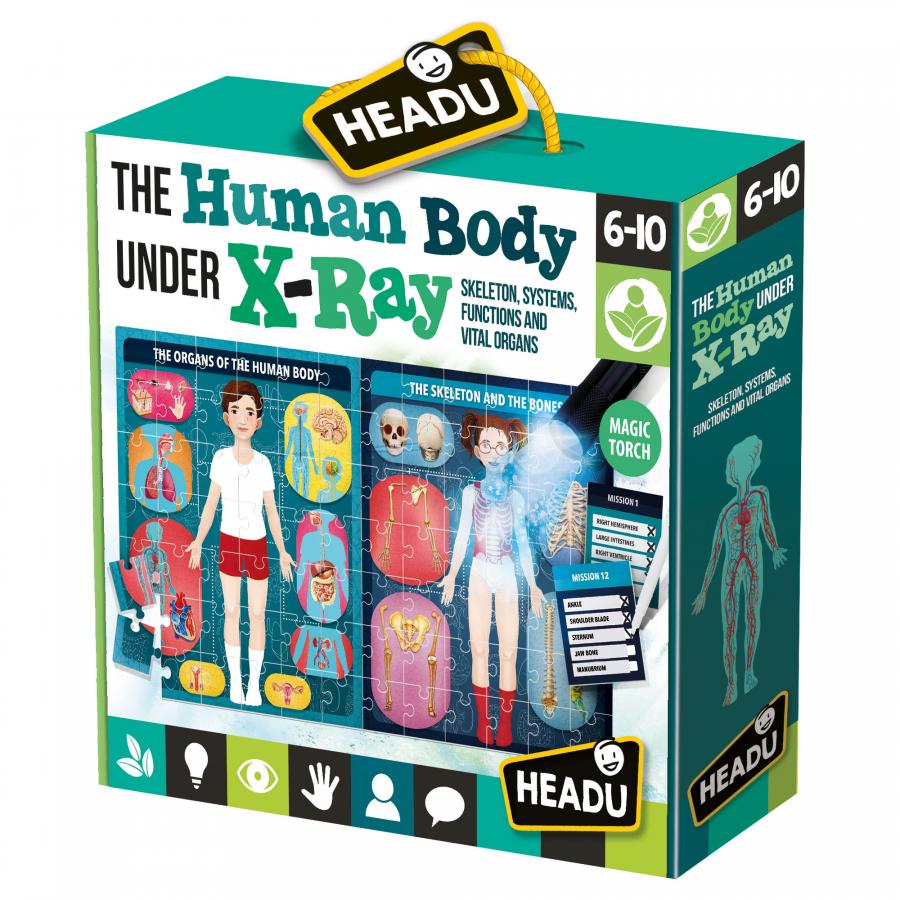 Headu Human Body Under X-Ray Kit