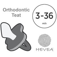 Hevea - Colour Pacifier - ORTHODONTIC Teat - Ruby - 3 to 36 Months