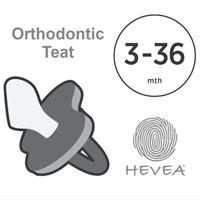 Hevea Orthodontic Teat Pacifier Moss Green (3 to 36M)