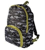 IS Fun Times Foldable Dinosaur Backpack