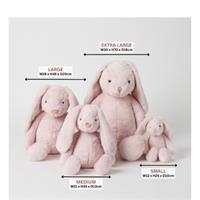 Jiggle & Giggle Floral Raspberry Bunny Rattle 2