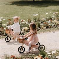Tiny Tot 2 in 1 Plus Rose