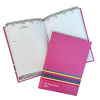 Master Plan Diary Pink