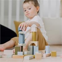 Micki Premium Children Wooden Building Blocks 60pc