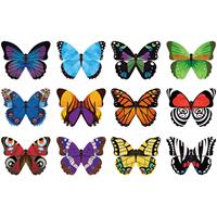 Memory Match Shaped Butterflies