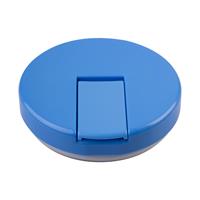 Oasis Stainless Steel Double Wall Insulated Food Flask Quick Release Lid (300ml) Blue