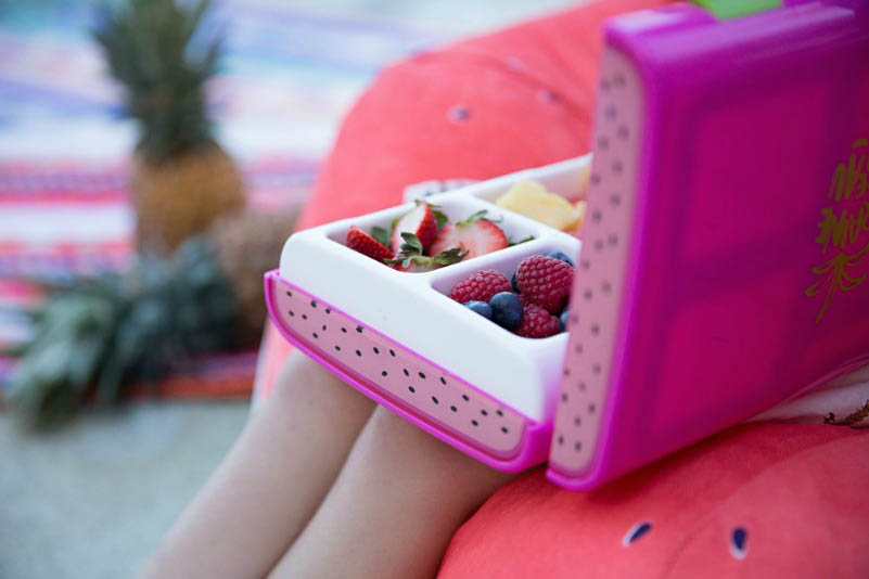 Rainebeau Kiwi Fruit Bento Lunchbox