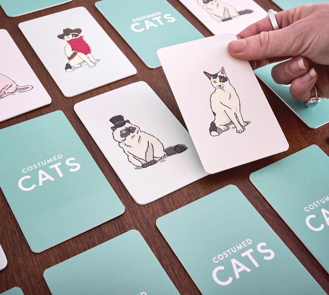 Costumed Cats Memory Game