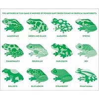 Shaped Memory Match Frogs