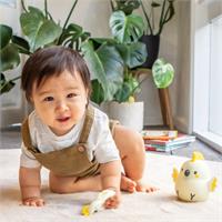 Silicone Cockatoo Teether