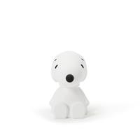 Snoopy Bundle of Light