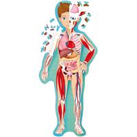 The Human Body Jigsaw Puzzle