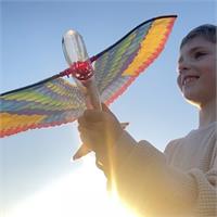 Tim - The Original Flying Bird