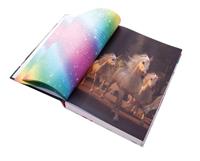 Unicorn Puzzle Book