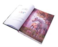 Unicorn Puzzle Book