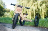 Wooden 4-in-1 Trybike - Brown Trim