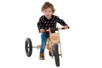 Wooden 4-in-1 Trybike - Brown Trim