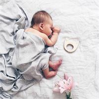 Wooden Story Mapel wood Teether